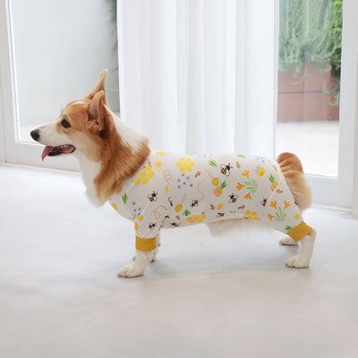 【新入荷】カラフルロンパース 胴長・短足わんちゃん向け