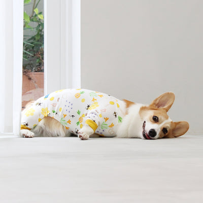 【新入荷】カラフルロンパース 胴長・短足わんちゃん向け