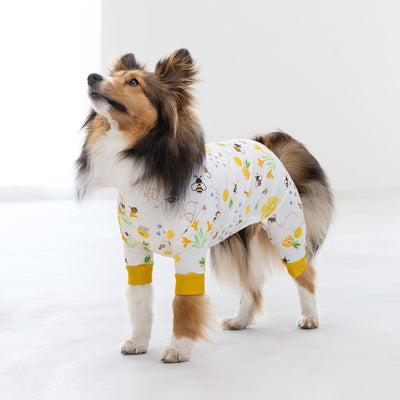 【新入荷】カラフルロンパース ハニー Bee
