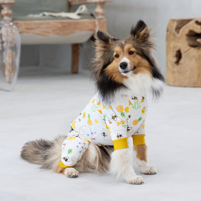 【新入荷】カラフルロンパース ハニー Bee