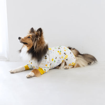 【新入荷】カラフルロンパース ハニー Bee