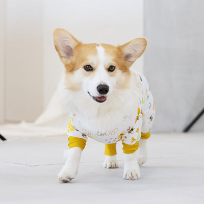 【新入荷】カラフルロンパース ハニー Bee