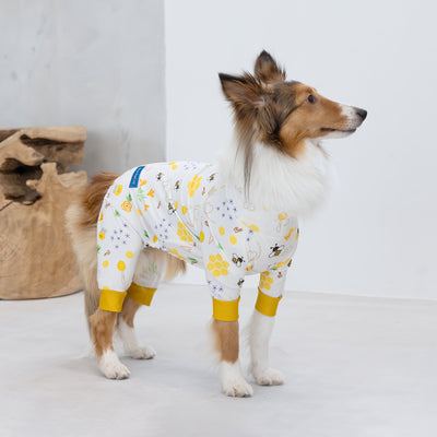 【新入荷】カラフルロンパース ハニー Bee