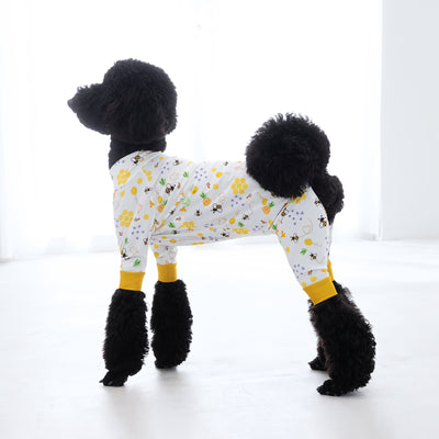 【新入荷】カラフルロンパース ハニー Bee