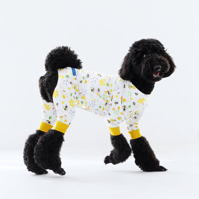 【新入荷】カラフルロンパース ハニー Bee
