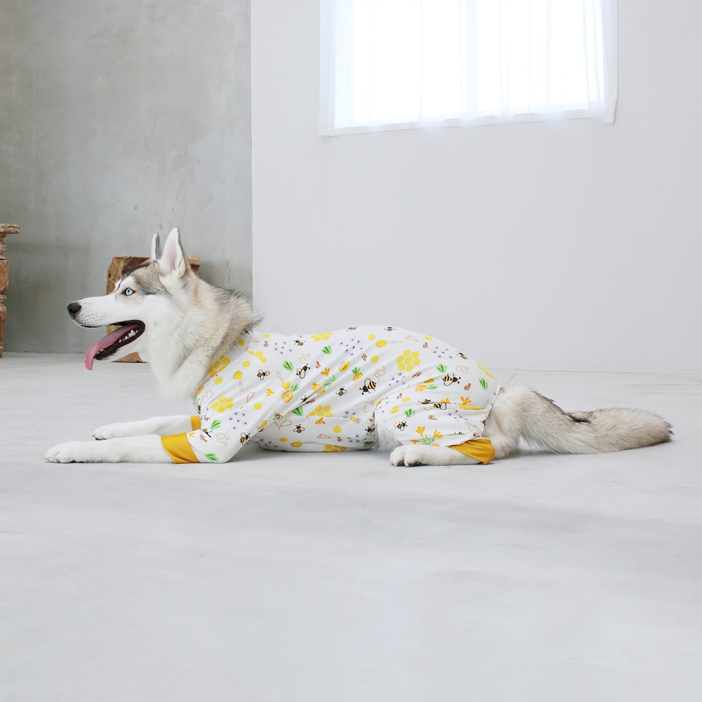 【新入荷】カラフルロンパース ハニー Bee
