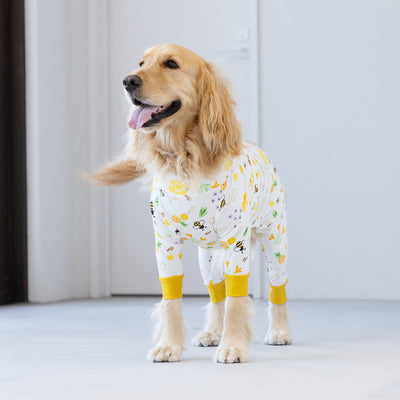 【新入荷】カラフルロンパース ハニー Bee