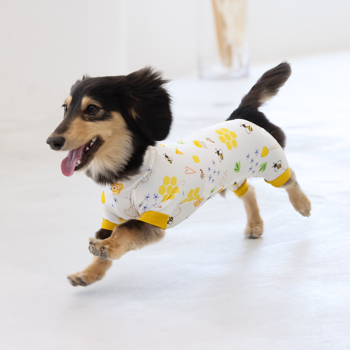 【新入荷】カラフルロンパース ハニー Bee