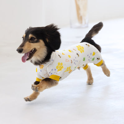 【新入荷】カラフルロンパース ハニー Bee