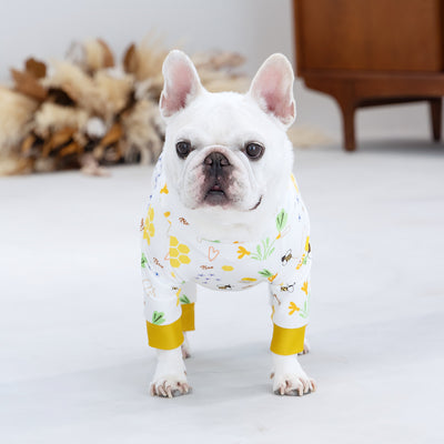 【新入荷】カラフルロンパース ハニー Bee