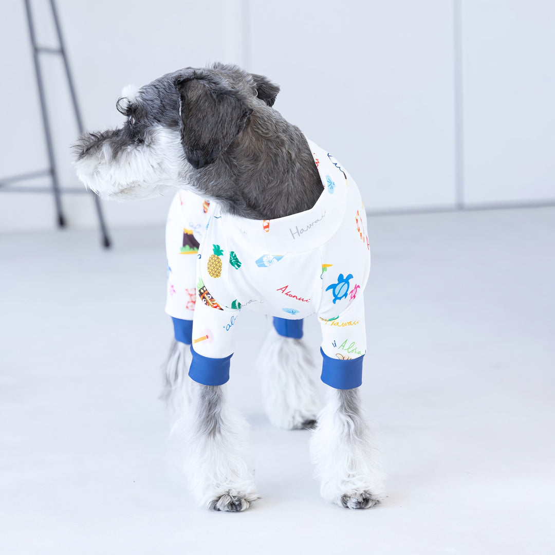犬のキャラクター ストラップ 青 Buzz Factory バズファクトリー カラフルロンパース アロハ 日本
