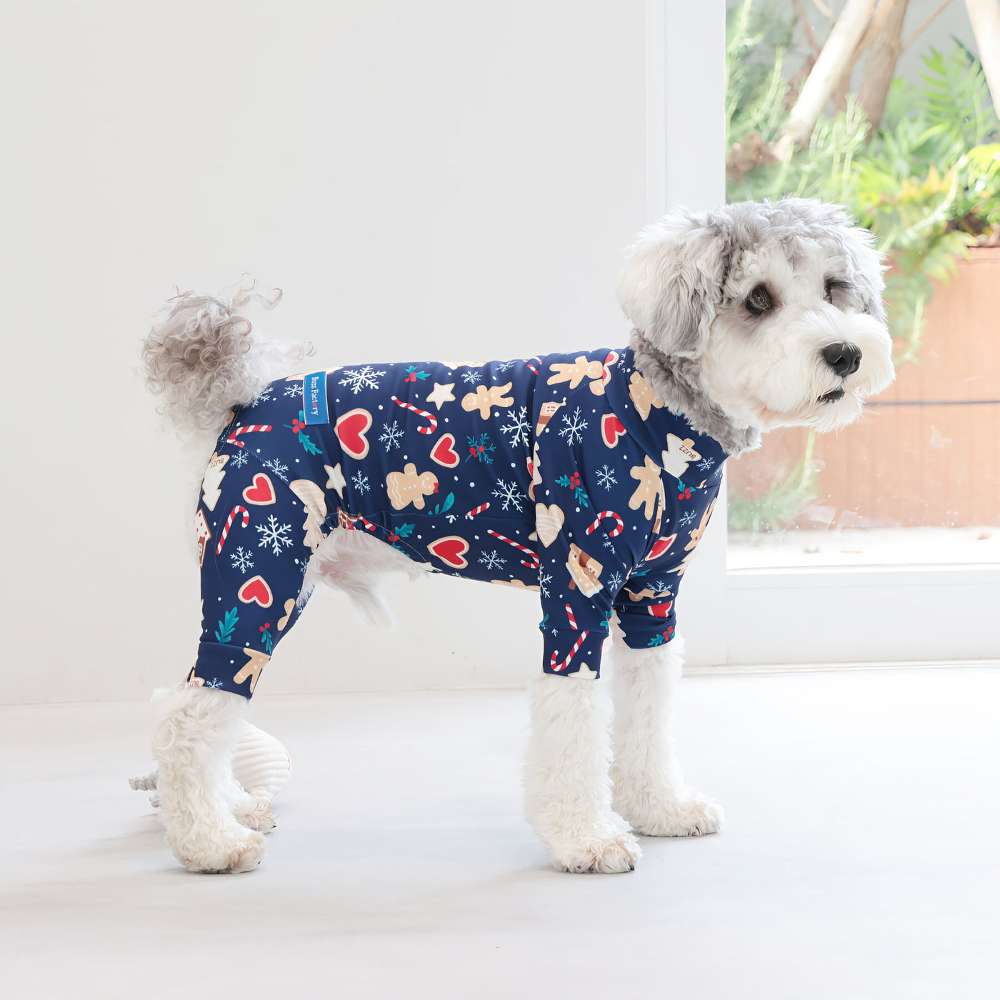 【新入荷】カラフルロンパース クッキーナイト