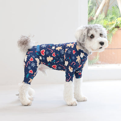 【新入荷】カラフルロンパース クッキーナイト