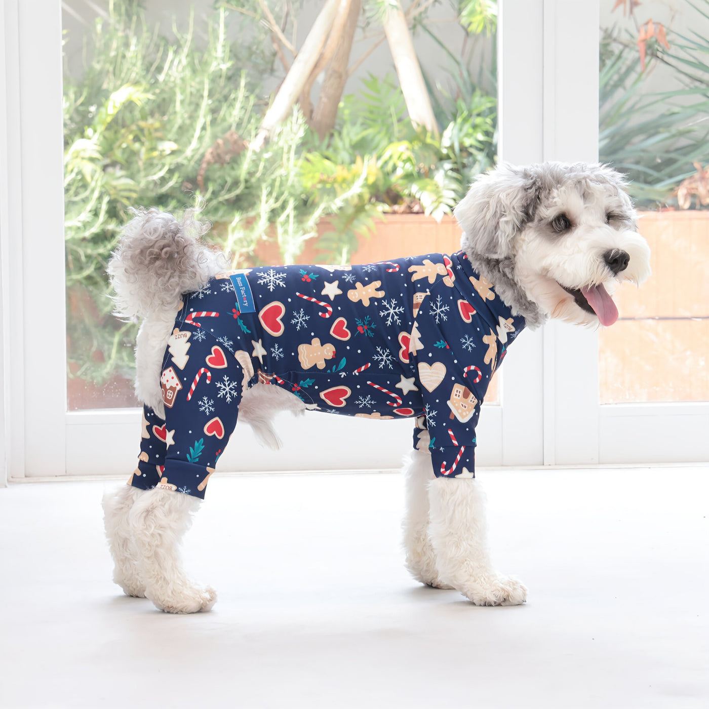 【新入荷】カラフルロンパース クッキーナイト