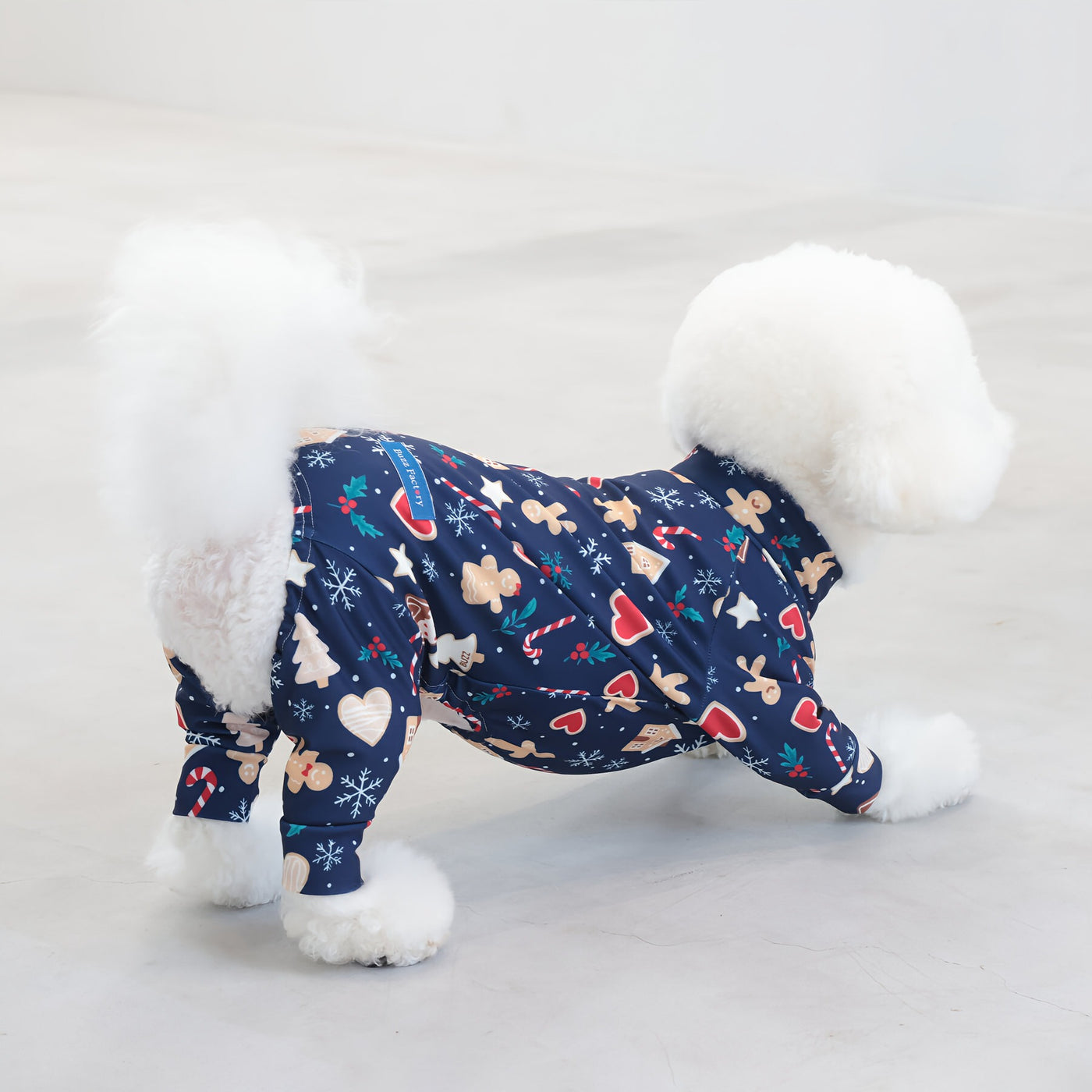 【新入荷】カラフルロンパース クッキーナイト