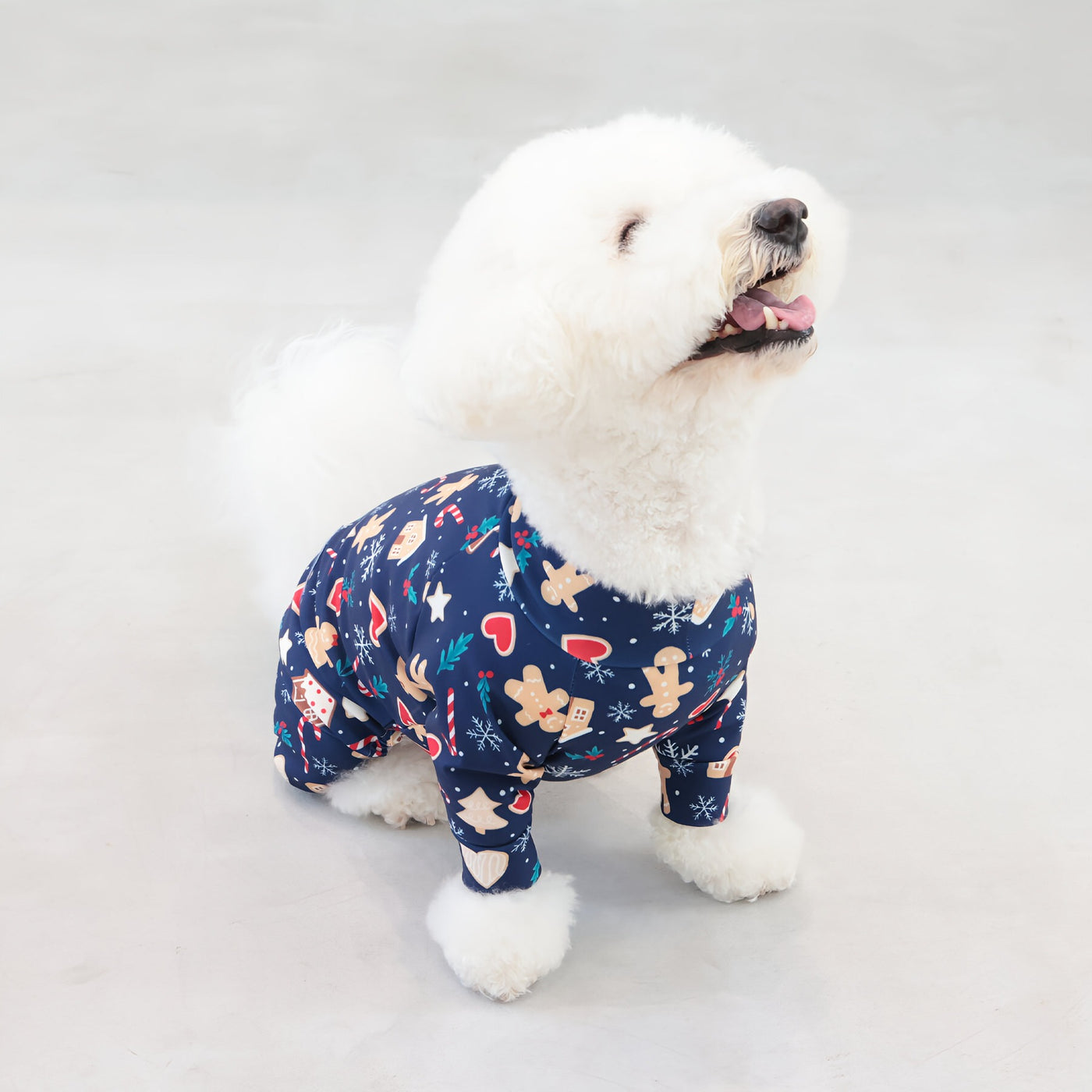 【新入荷】カラフルロンパース クッキーナイト