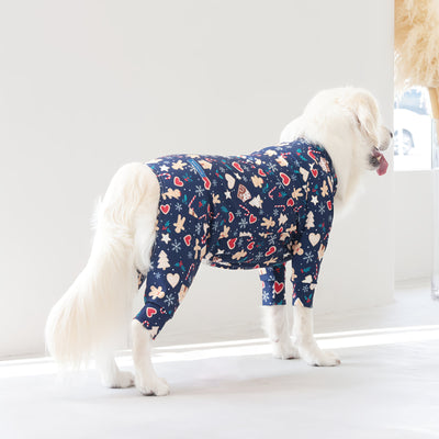 【新入荷】カラフルロンパース クッキーナイト