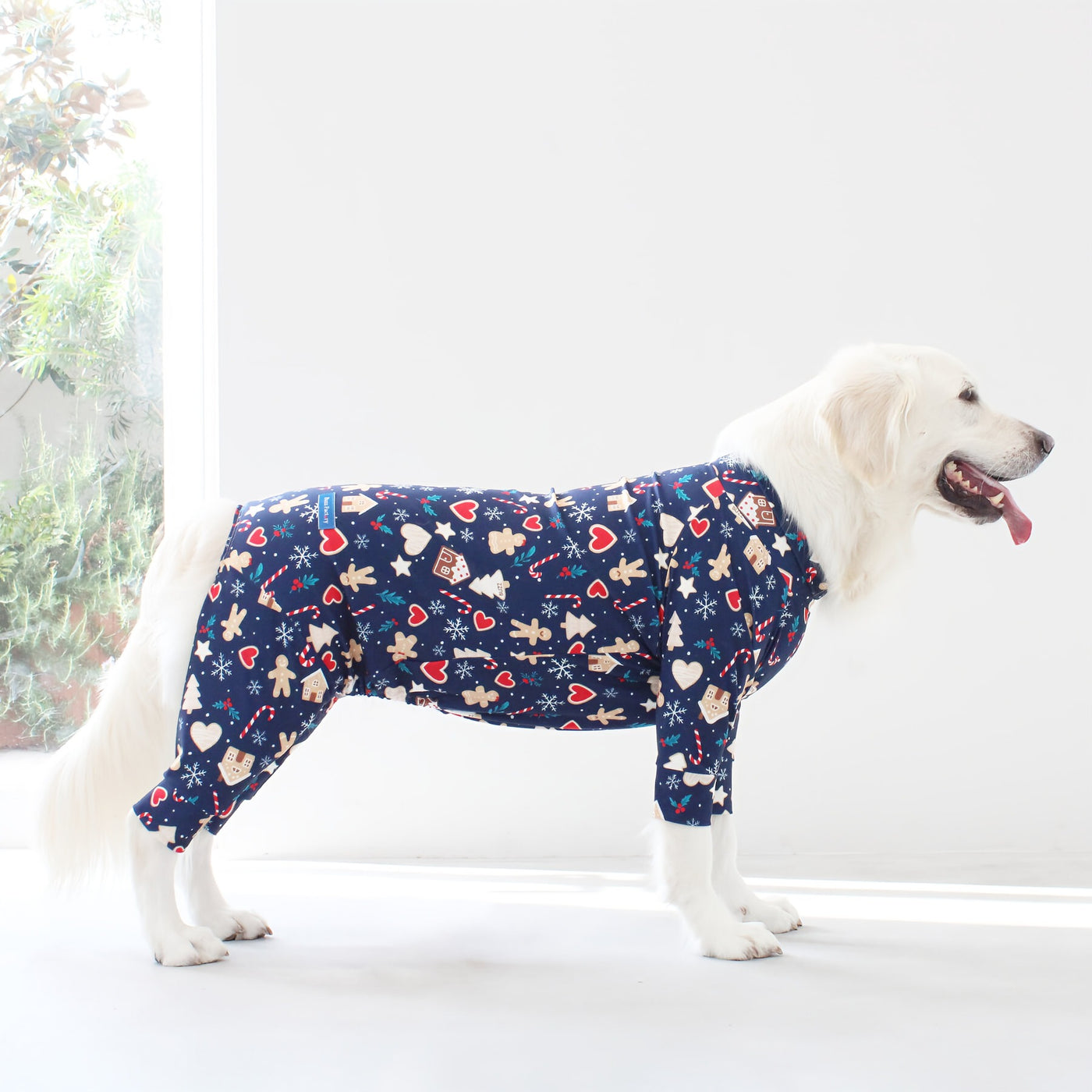 【新入荷】カラフルロンパース クッキーナイト