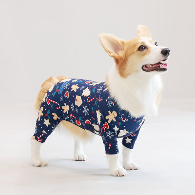 【新入荷】カラフルロンパース 胴長・短足わんちゃん向け