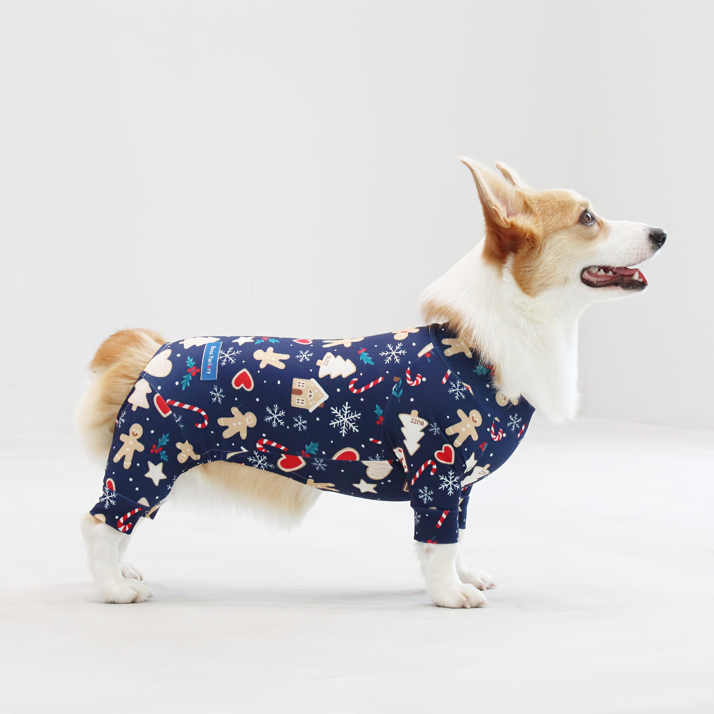 【新入荷】カラフルロンパース 胴長・短足わんちゃん向け