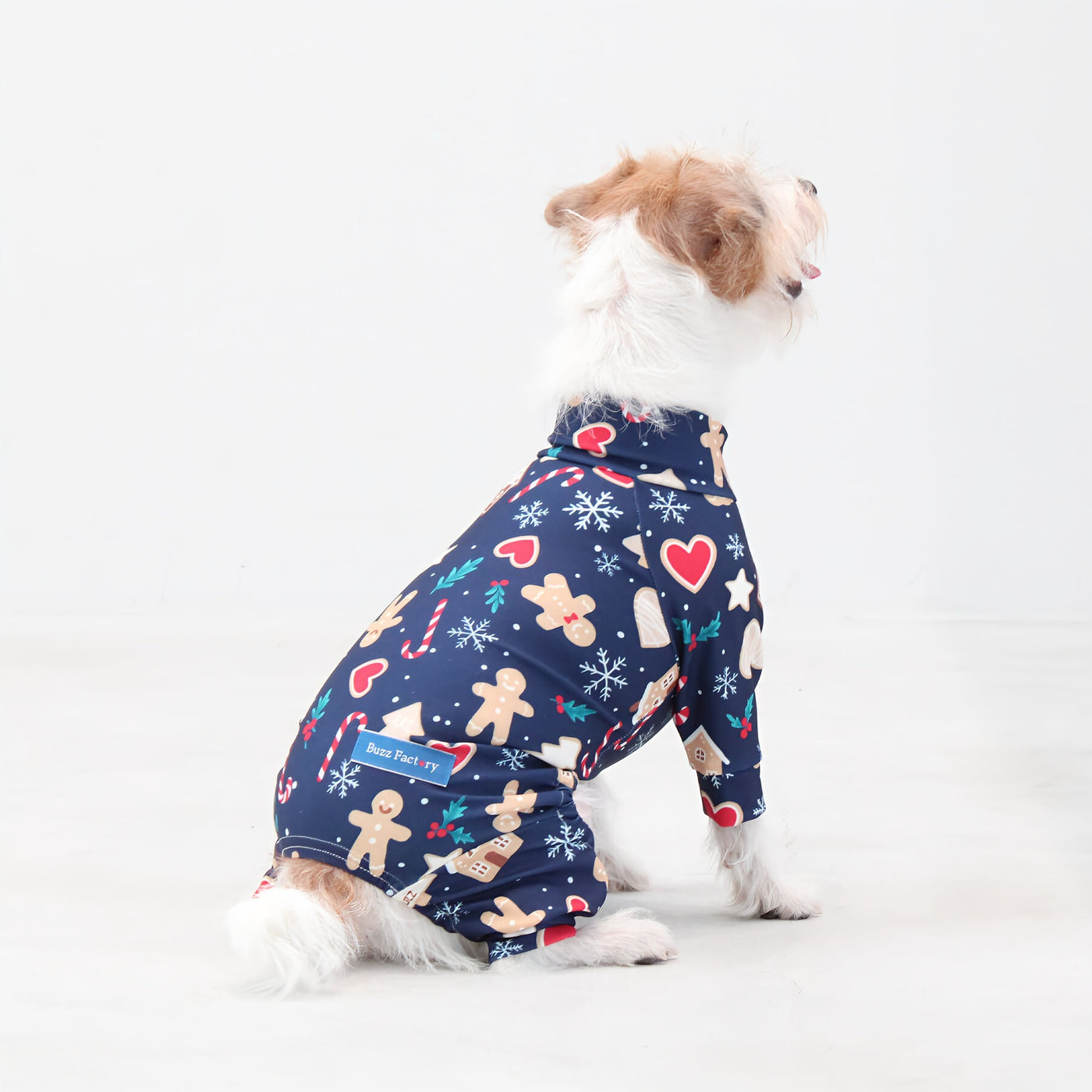 【新入荷】カラフルロンパース クッキーナイト