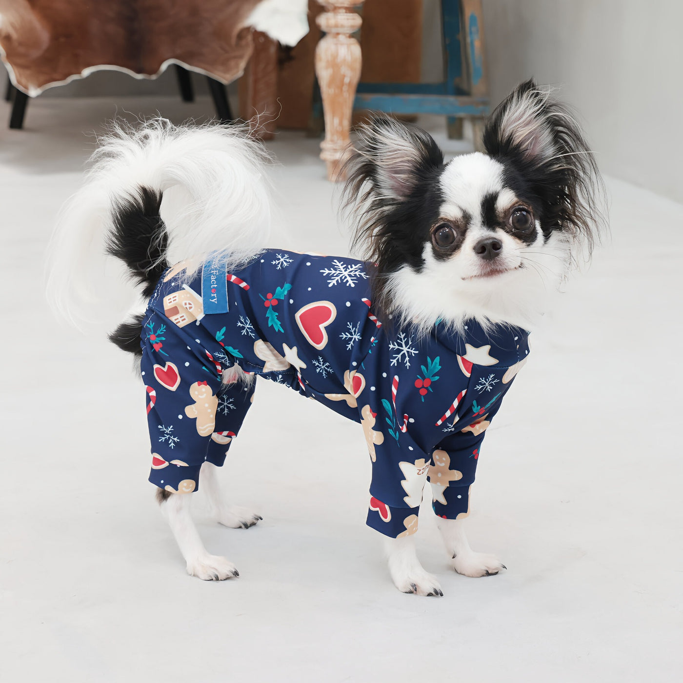 【新入荷】カラフルロンパース クッキーナイト