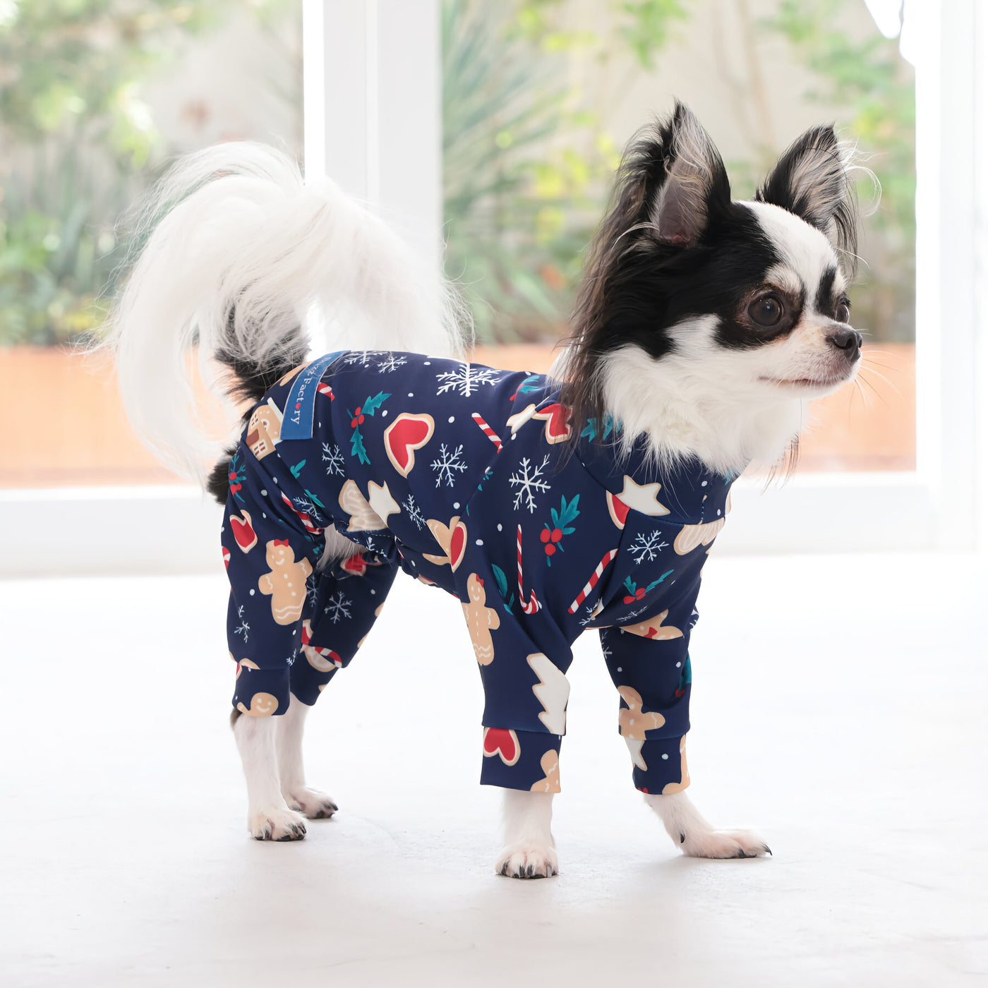 【新入荷】カラフルロンパース クッキーナイト