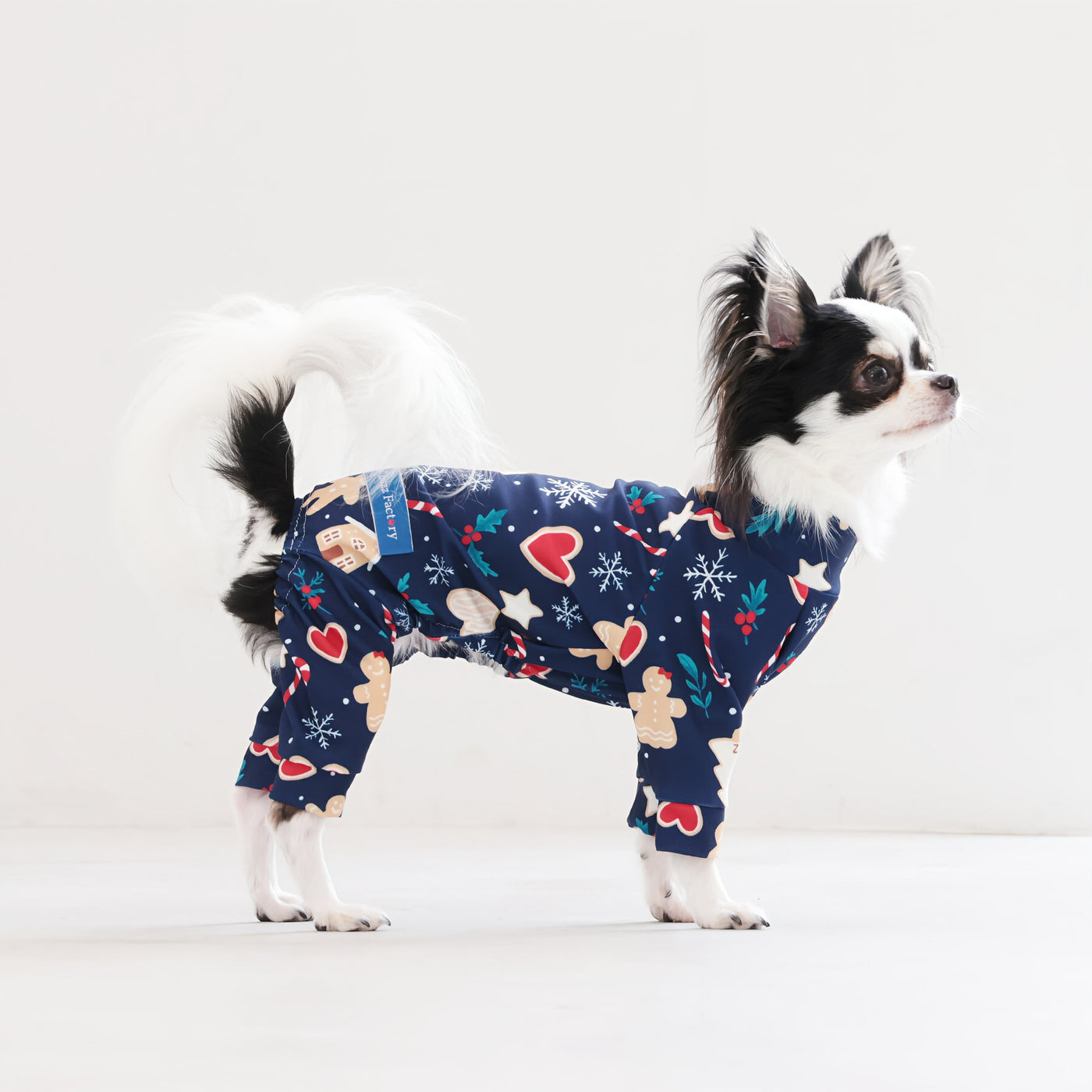 【新入荷】カラフルロンパース クッキーナイト