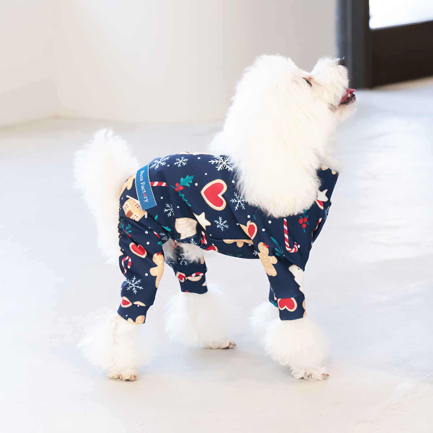 【新入荷】カラフルロンパース クッキーナイト