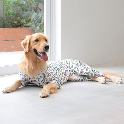 【新入荷】カラフルロンパース イタリア