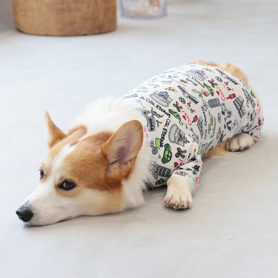 【新入荷】カラフルロンパース 胴長・短足わんちゃん向け