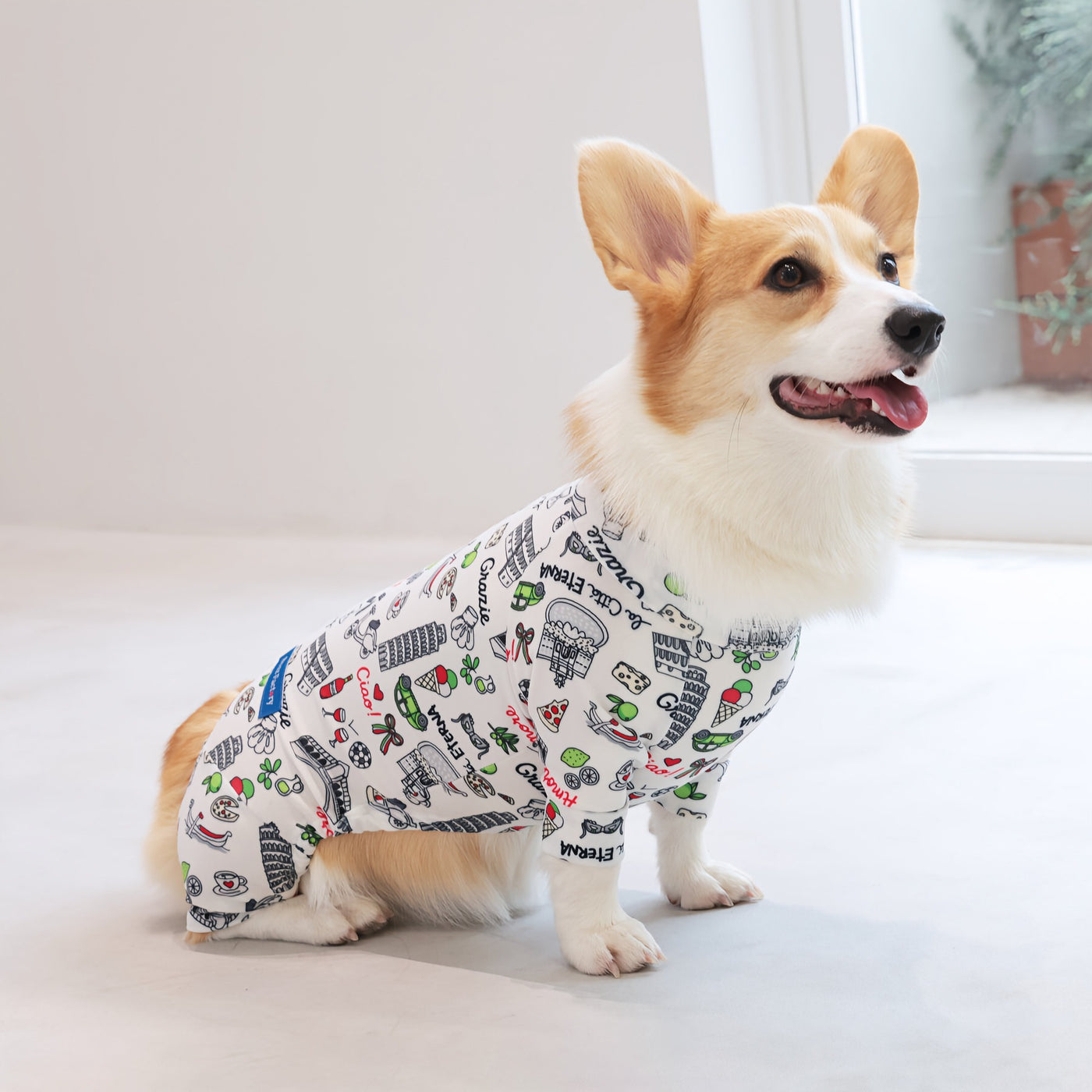 【新入荷】カラフルロンパース 胴長・短足わんちゃん向け