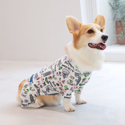 【新入荷】カラフルロンパース 胴長・短足わんちゃん向け