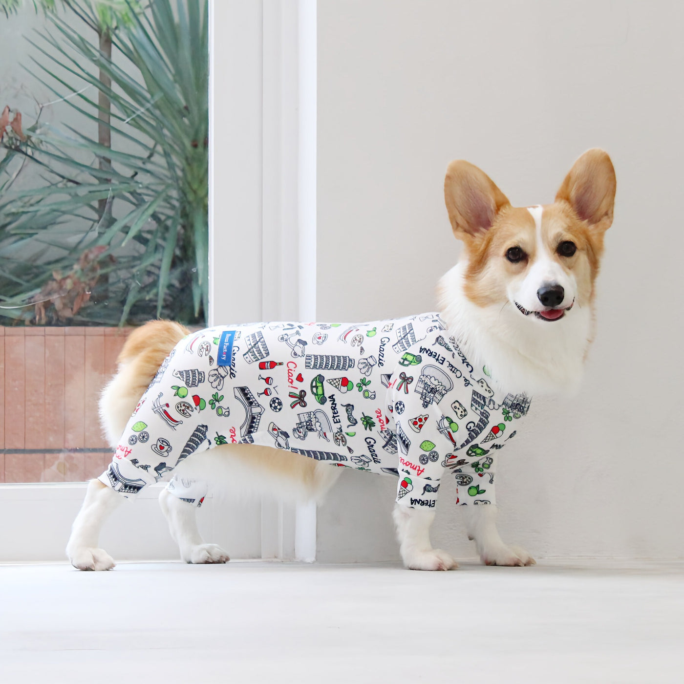 【新入荷】カラフルロンパース 胴長・短足わんちゃん向け