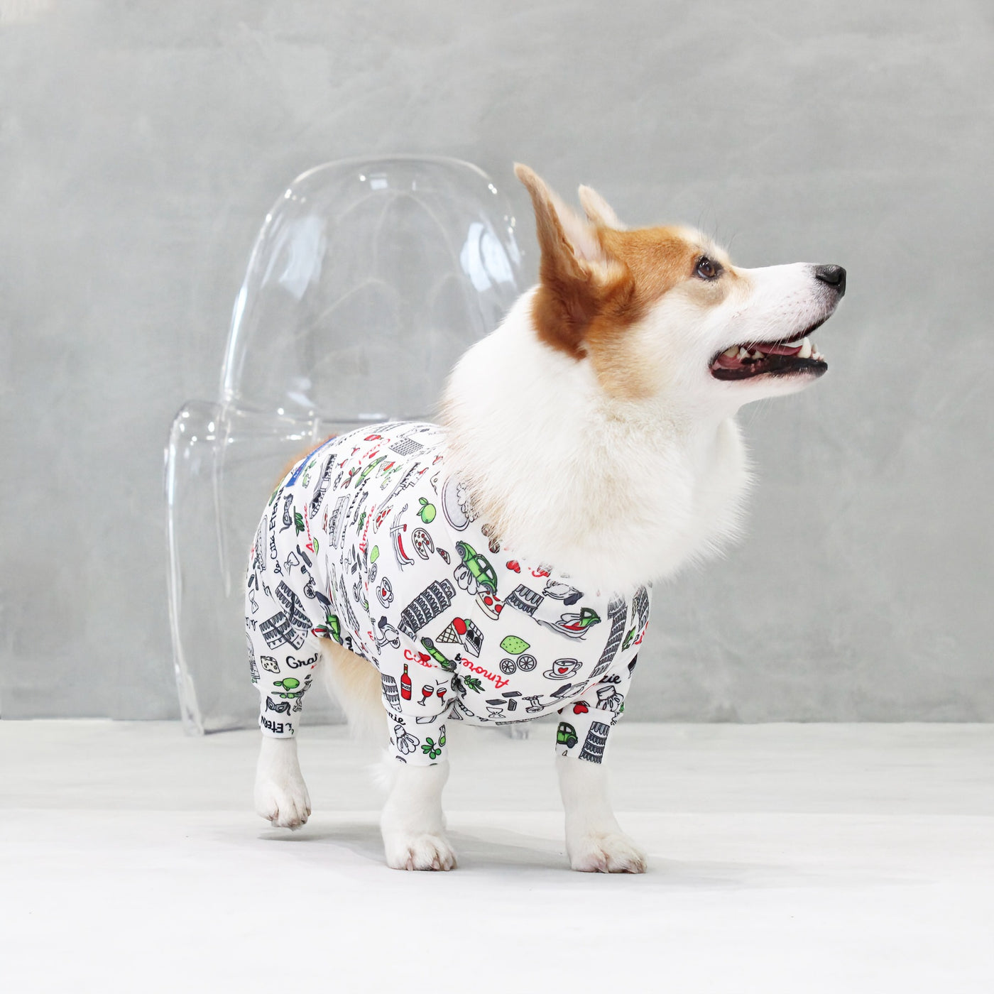 【新入荷】カラフルロンパース 胴長・短足わんちゃん向け