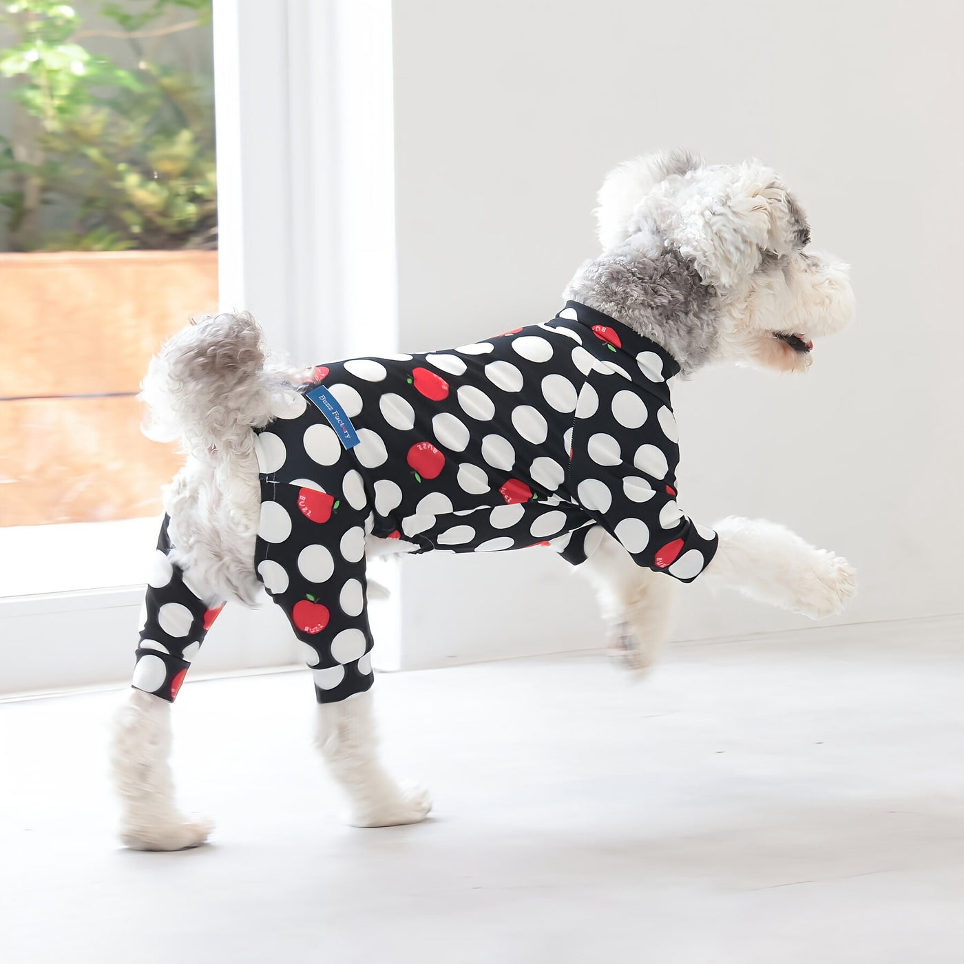 【新入荷】カラフルロンパース アップルドット