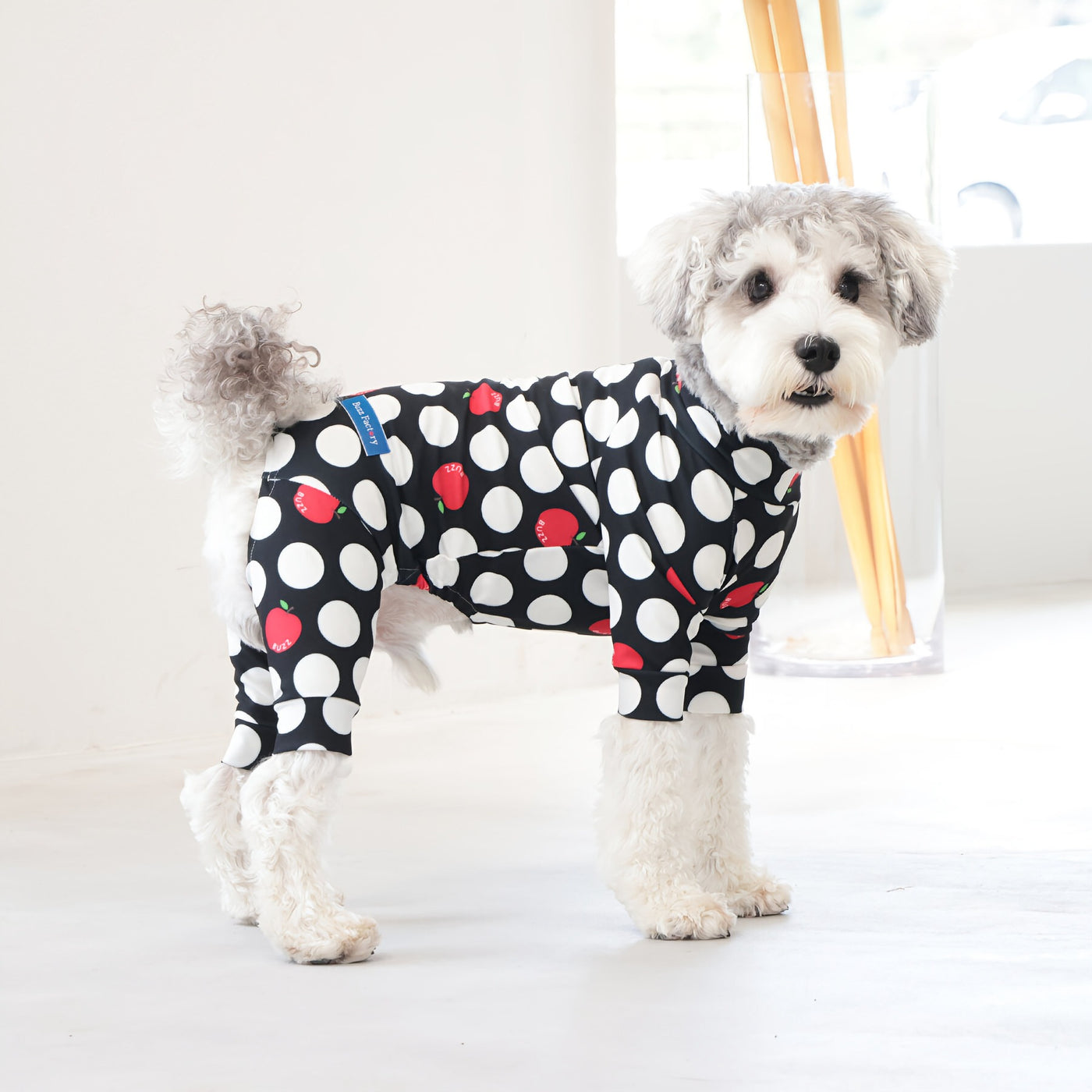 【新入荷】カラフルロンパース アップルドット