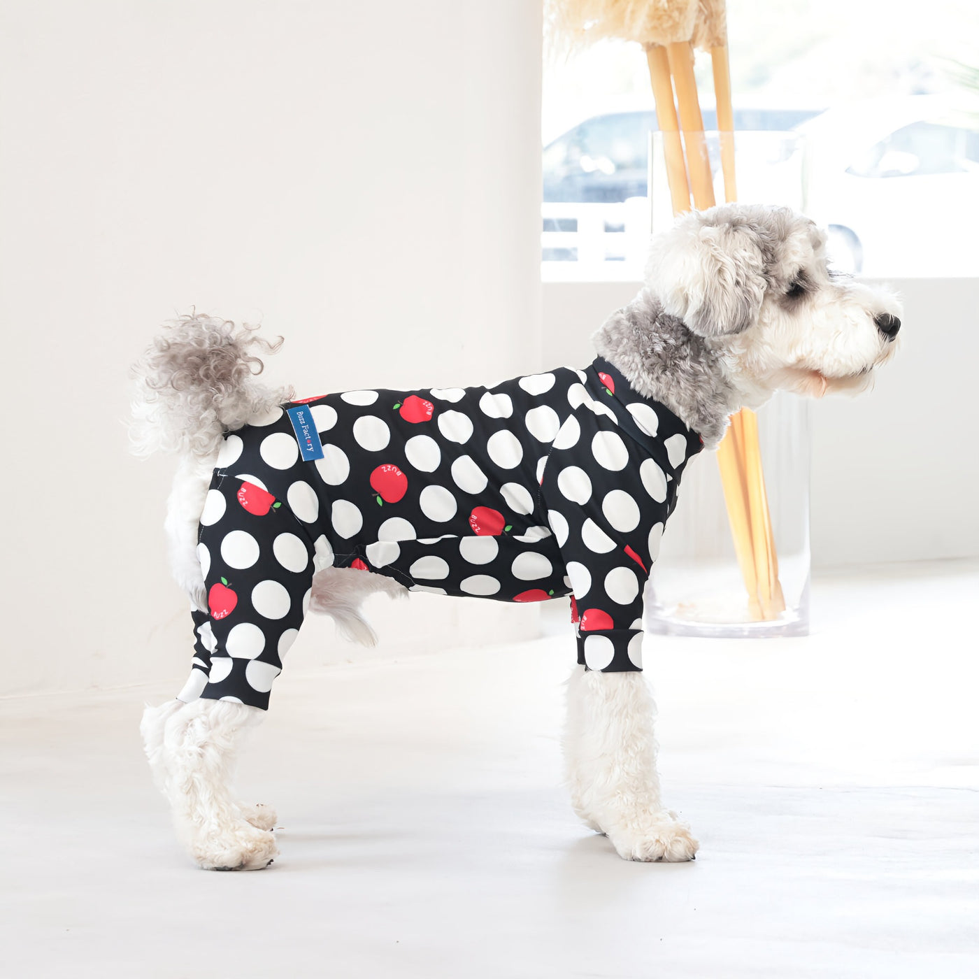 【新入荷】カラフルロンパース アップルドット