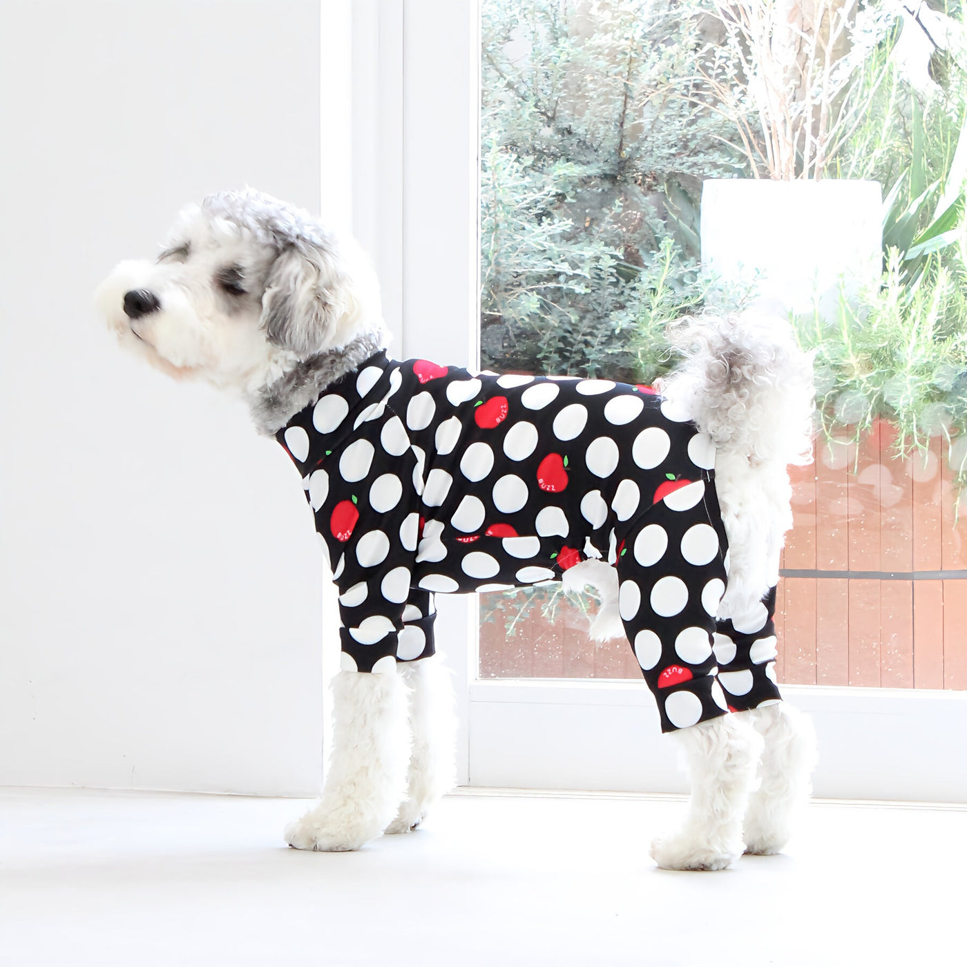 【新入荷】カラフルロンパース アップルドット