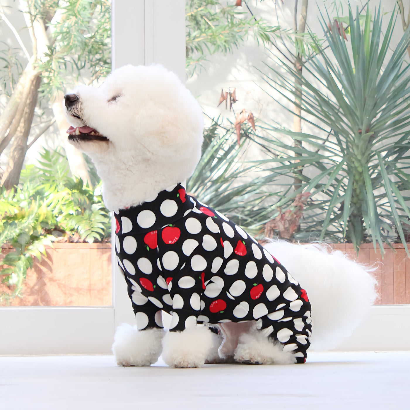 【新入荷】カラフルロンパース アップルドット