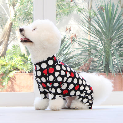 【新入荷】カラフルロンパース アップルドット