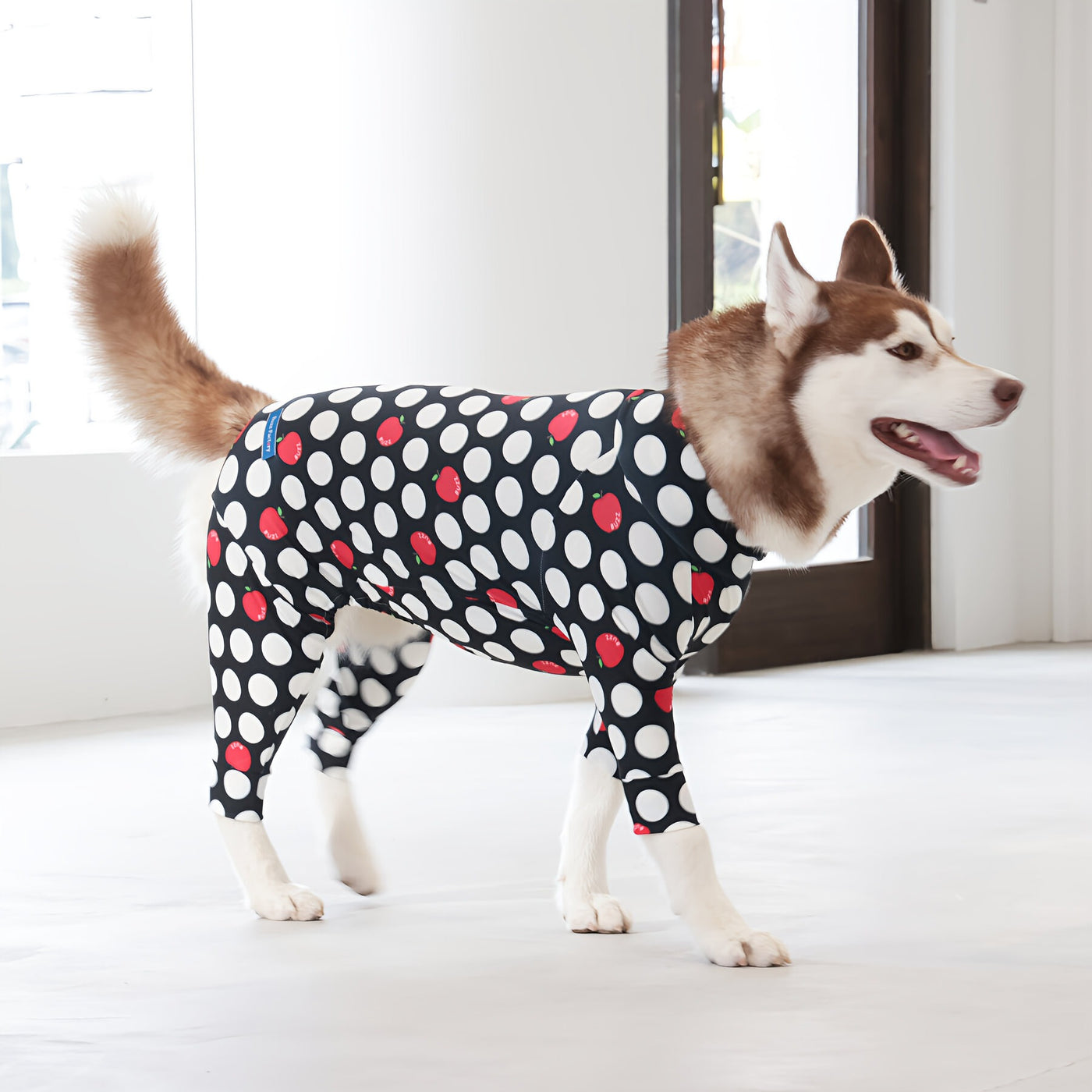 【新入荷】カラフルロンパース アップルドット