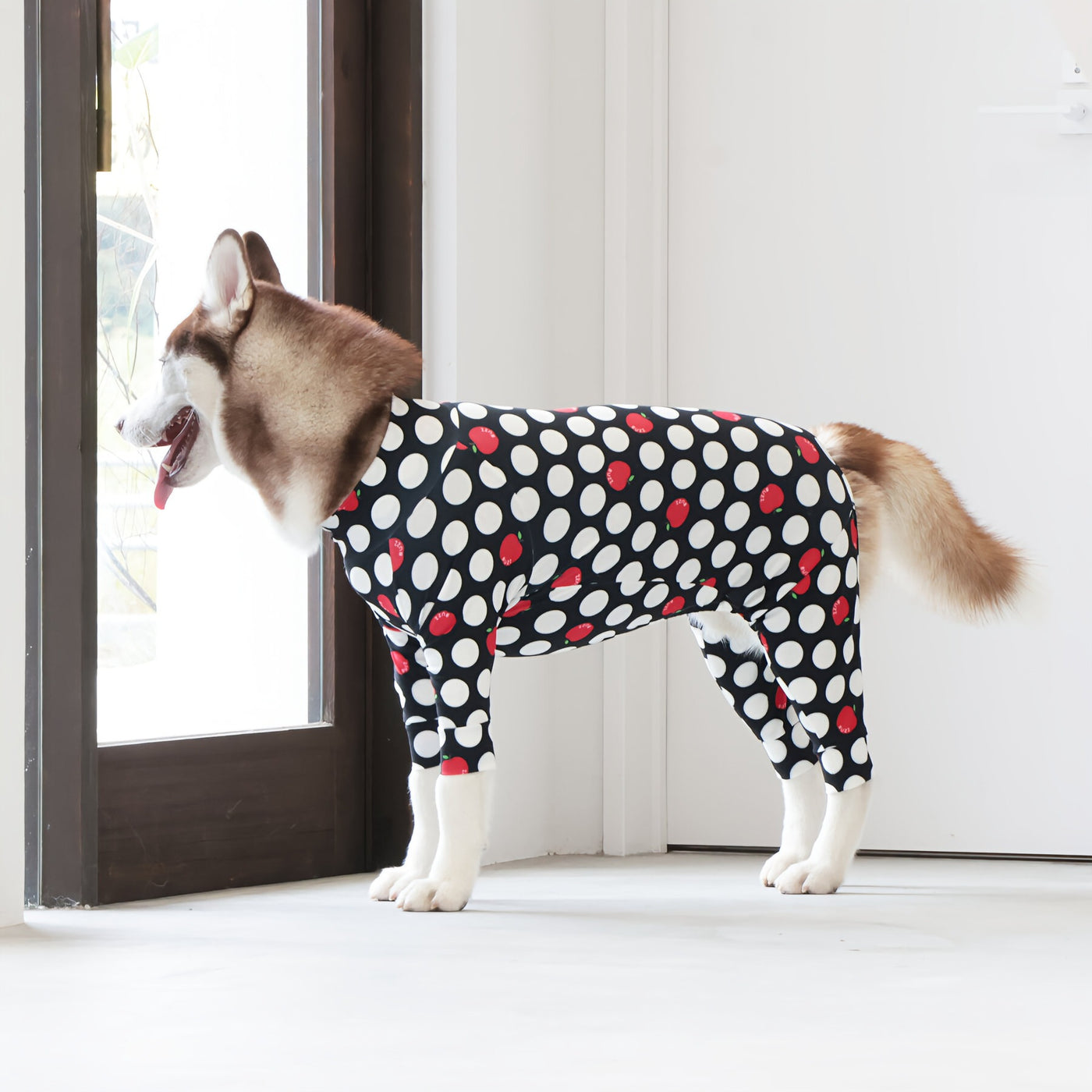 【新入荷】カラフルロンパース アップルドット