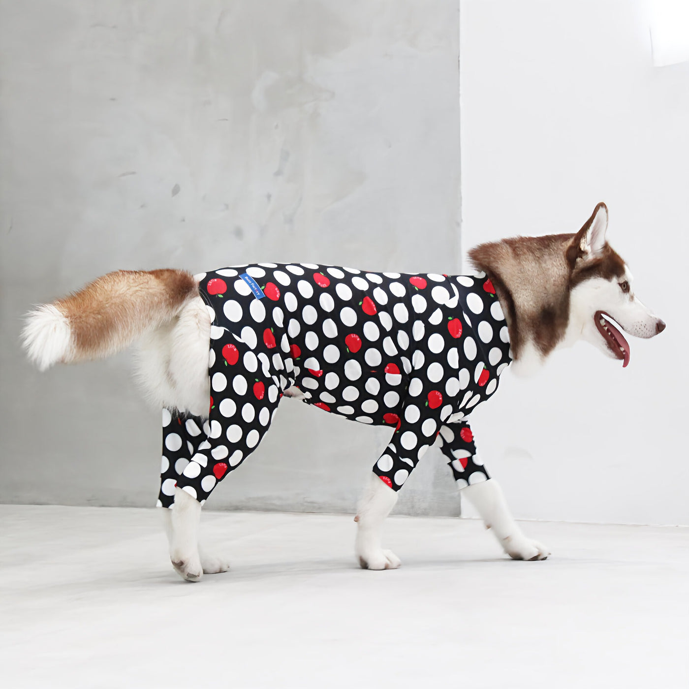 【新入荷】カラフルロンパース アップルドット