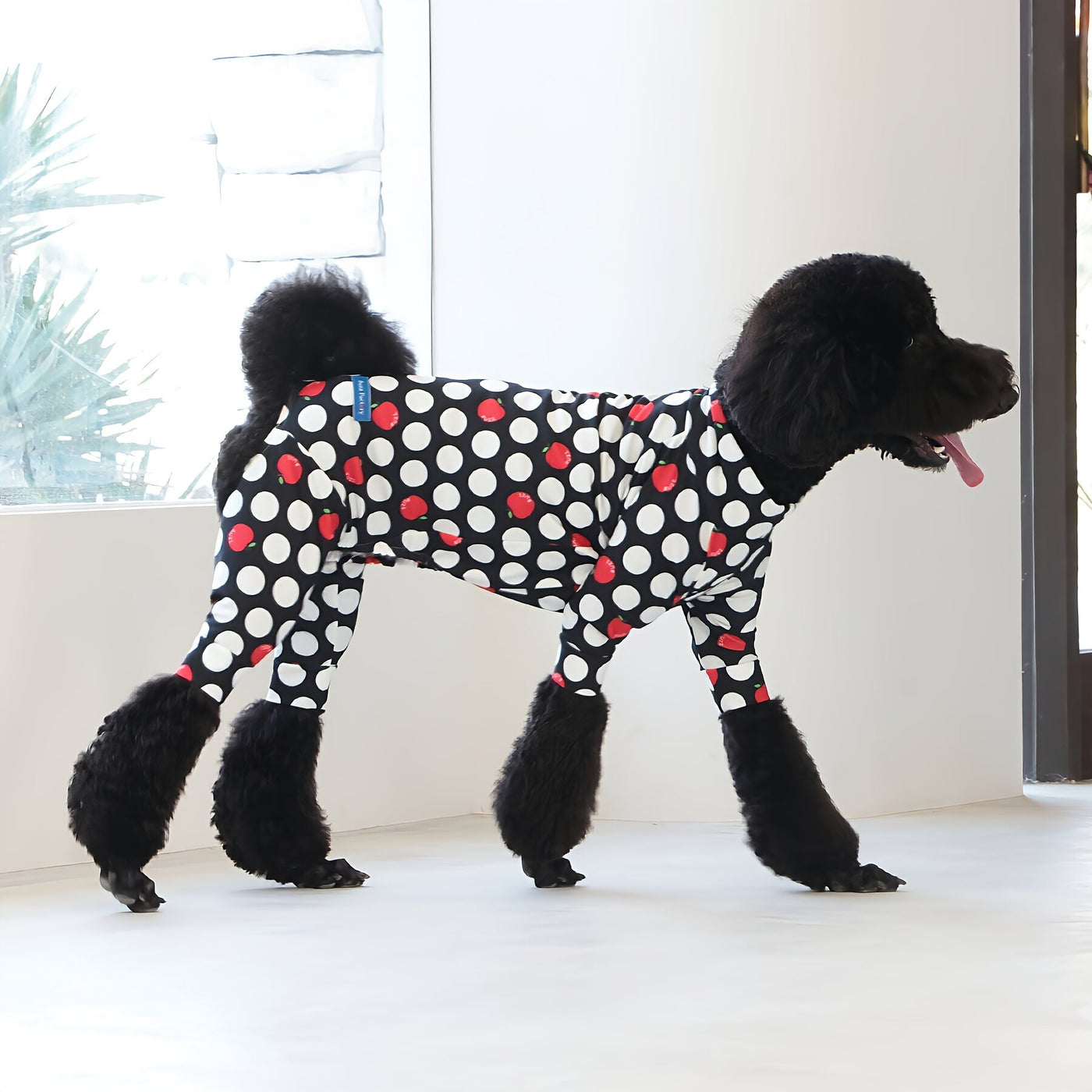 【新入荷】カラフルロンパース アップルドット