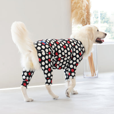 【新入荷】カラフルロンパース アップルドット