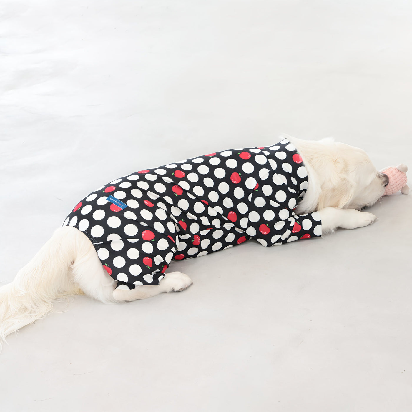 【新入荷】カラフルロンパース アップルドット