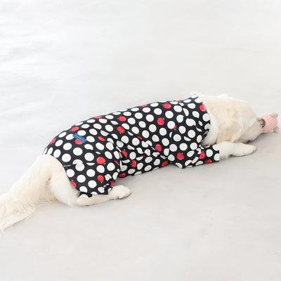 【新入荷】カラフルロンパース アップルドット