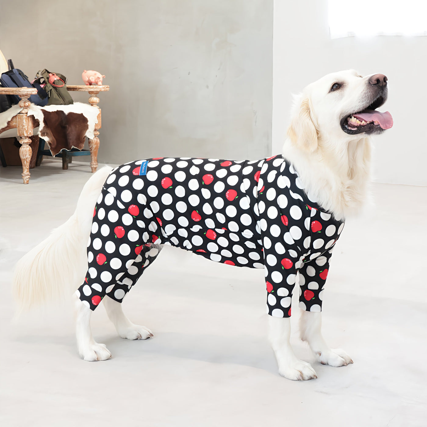 【新入荷】カラフルロンパース アップルドット