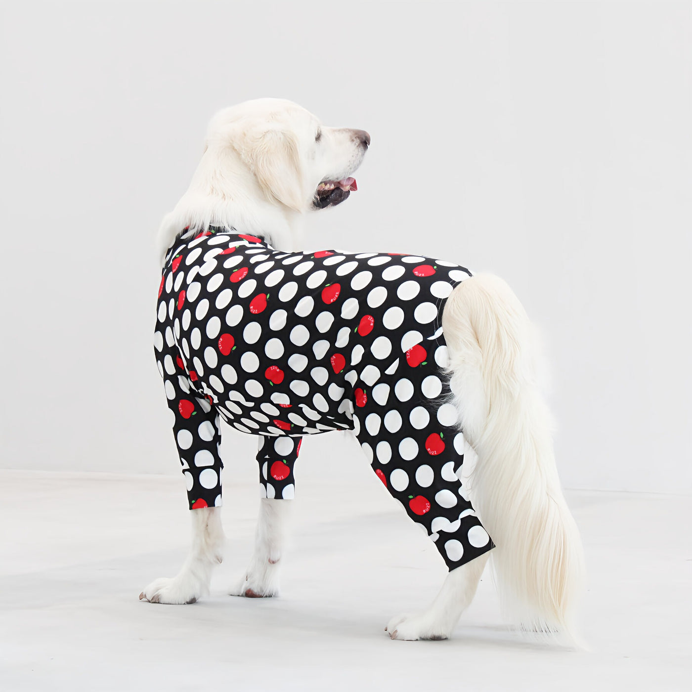 【新入荷】カラフルロンパース アップルドット